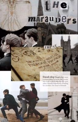 always forever | marauders x me