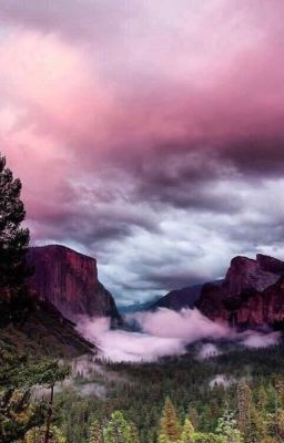 Захар Прилепин. "Какой случится день недели" ©