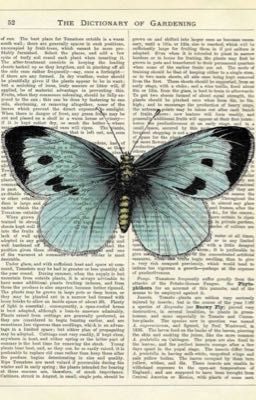 любовь спасает 