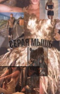 Серая мышь