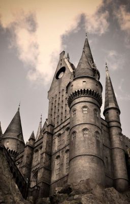 Новое поколение или История помолодевшего Хогвартса