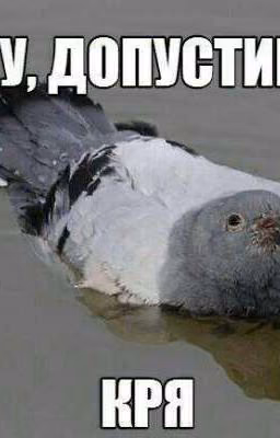 😂Мемасики😂