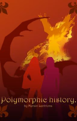 Полиморфная История