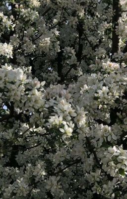 (a̶n̶t̶i̶-)depression code.