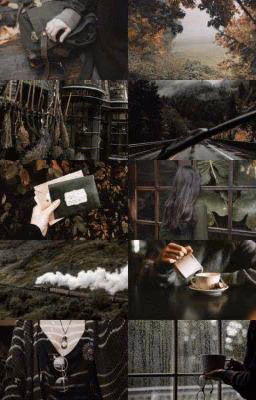 POTTERIANA