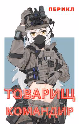Товарищ командир