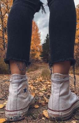 Передай миру, Привет!