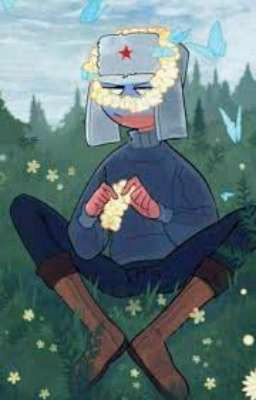 реакция На Т/И countryhumans