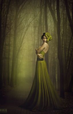 Таймлесс. Берилловая книга