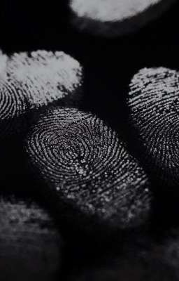 Тень в городе: загадка убийства