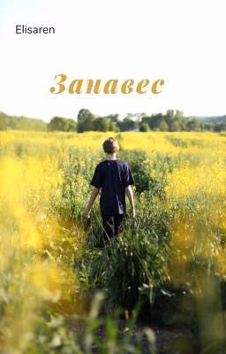 Занавес