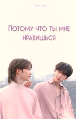 Потому что ты мне нравишься | Чанликсы / Stray Kids