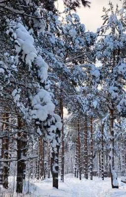 Возрождение лунного мальчика