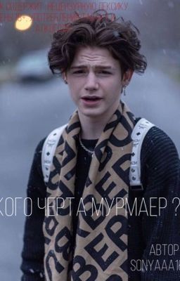 какого черта мурмаер? 