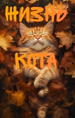 ЖИЗНЬ КОТА