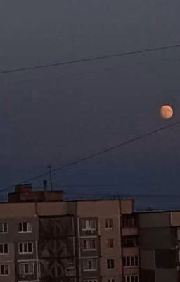 Не такая как все
