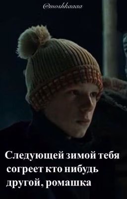 следующей зимой тебя согреет кто то другой, ромашка