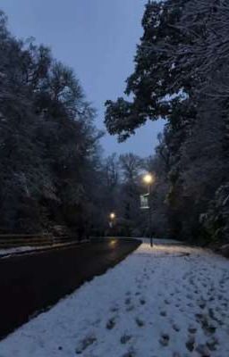 последний декабрь