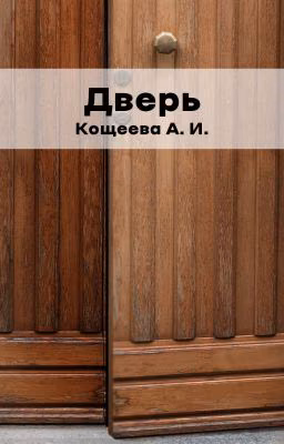 Дверь