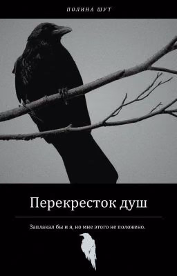 Перекресток душ