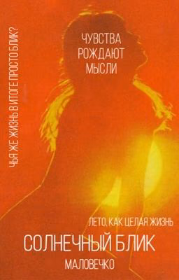 Солнечный блик
