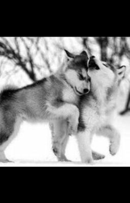 Две волчицы