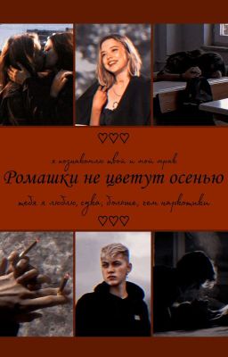 Ромашки не цветут осенью.