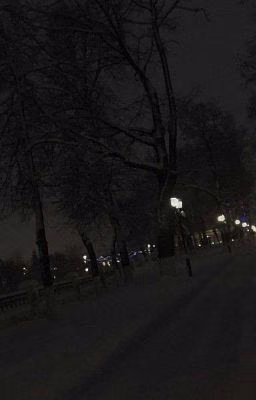 Новый город, Новая Жизнь