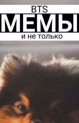 ♡BTS мемы♡