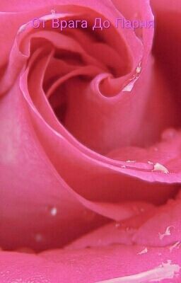 От Врага До Парня [ЗАМОРОЖЕНО]