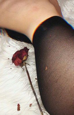 Сгорая до тла [+18]