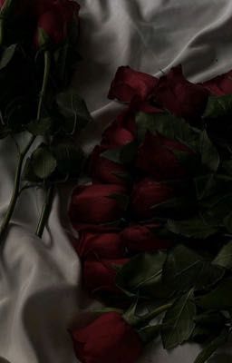 поклонница | виолетта малышенко