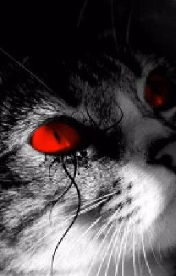 Коты воители. История Тёмной Кометы.