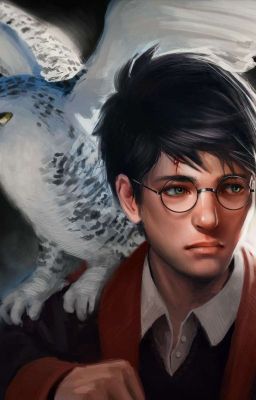 Гарри Поттер [ЗАМОРОЖЕНО]