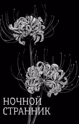 НОЧНОЙ СТРАННИК