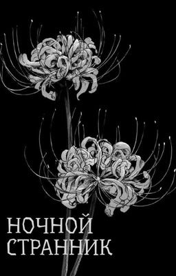 НОЧНОЙ СТРАННИК