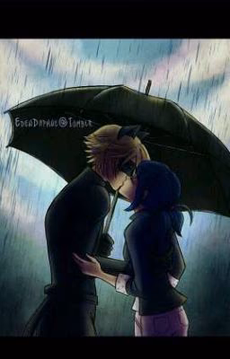 7 kisses. Miraculous Lady Bug and Chat Noir.