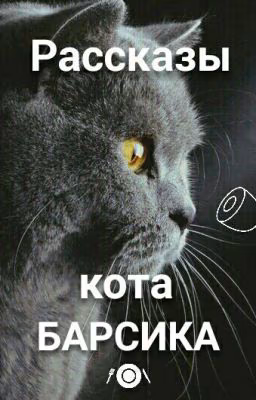 Рассказы кота Барсика