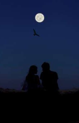 Хрупкое тело