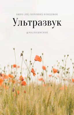 Ультразвук