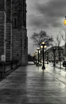 Санет Велли