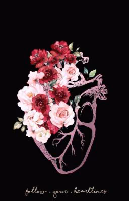 Дневник Мусульманки🌷💫