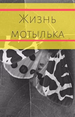 Жизнь мотылька