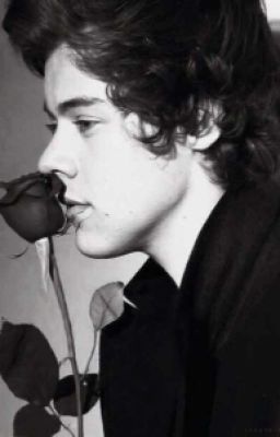 Когда я встретила тебя Гарри...