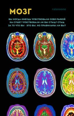 Мозг