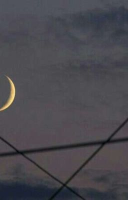 Сборник Стихов  И Текста П