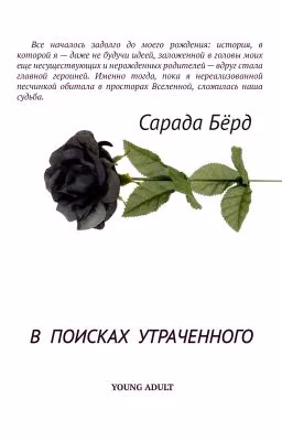 В ПОИСКАХ УТРАЧЕННОГО