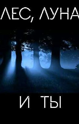Лес, Луна и Ты