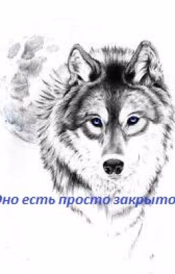Оно есть, просто закрыто!