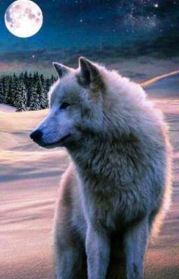 Стихи о волках. 